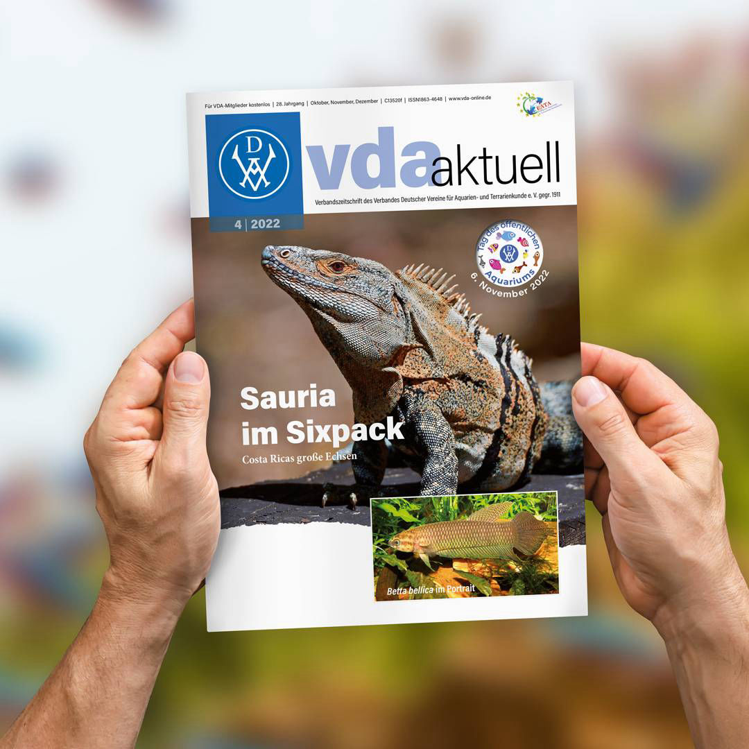 VDA aktuell